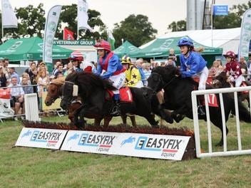 Moreton Show