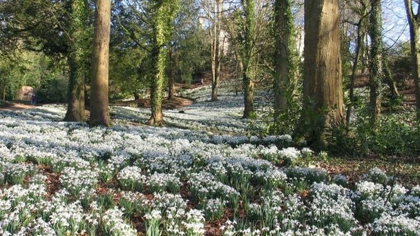 Flower Fields By Rococo Gardens