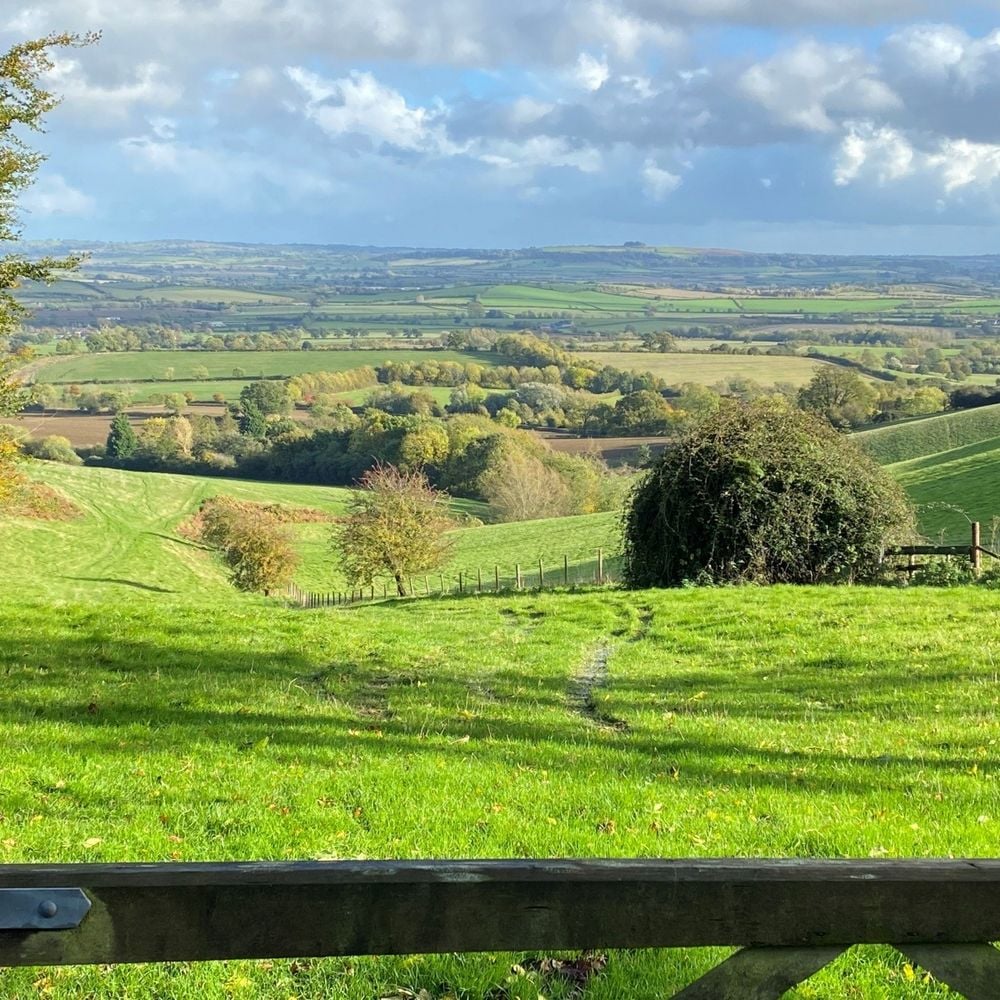Image for article: Rural Land & Farm Values 2023